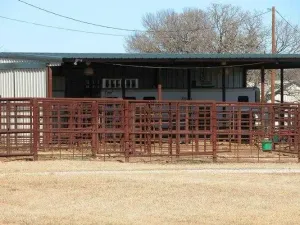 Gorman, TX 76454
