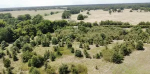 Terrell, TX 75161