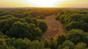 Sulphur Springs, TX 75482