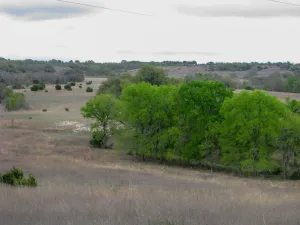 Evant, TX 76525