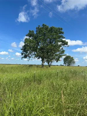 Honey Grove, TX 75446