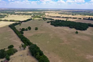 Scurry, TX 75158