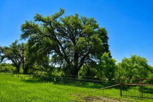 Rochelle, TX 76872