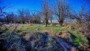 Petrolia, TX 76377