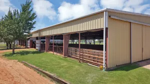 Tioga, TX 76271