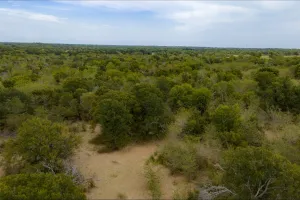 Wills Point, TX 75169