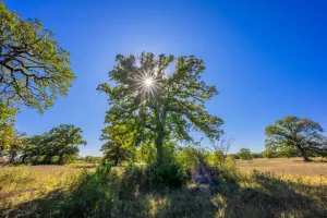 Aquilla, TX 76622