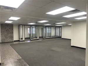Irving, TX 75061