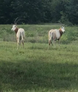 Rockdale, TX 76567