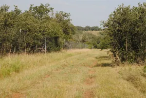 Comanche, TX 76442