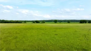 Rainbow, TX 76077