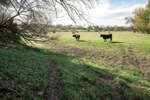 Princeton, TX 75047