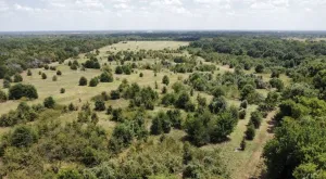Terrell, TX 75161