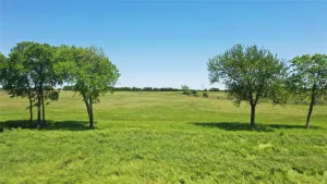 Celina, TX 75009