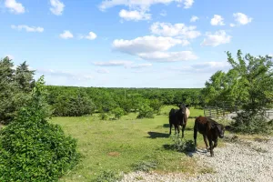 Whitesboro, TX 76273