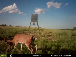 Coleman, TX 76834