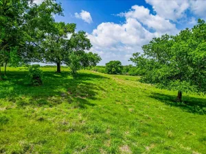 Covington, TX 76636