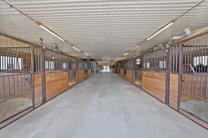 Tioga, TX 76271