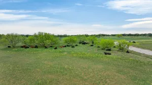 Granbury, TX 76049