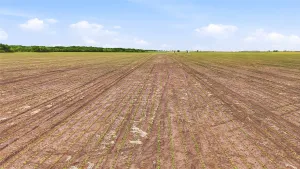 Whitesboro, TX 76273