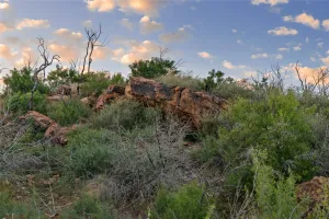 Graham, TX 76450