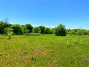 Bowie, TX 76230