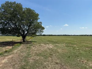 Whitesboro, TX 76273