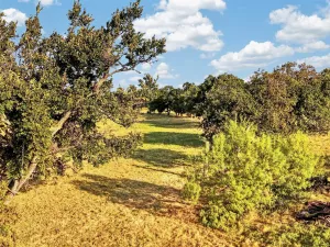 Krum, TX 76249