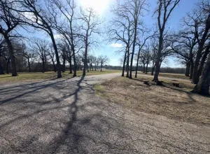 Sulphur Springs, TX 75482