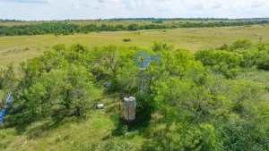 Carlton, TX 76436