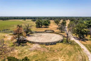 Greenville, TX 75401