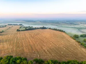Honey Grove, TX 75446