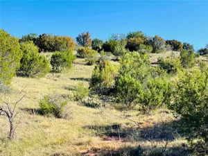 Bronte, TX 76933