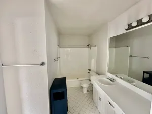 Dallas, TX 75219