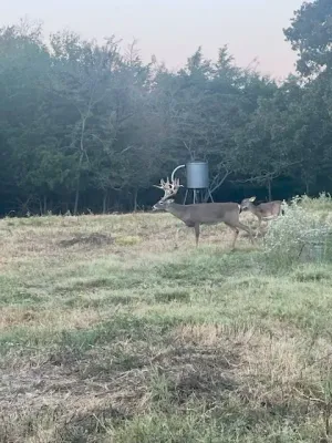 Scurry, TX 75158