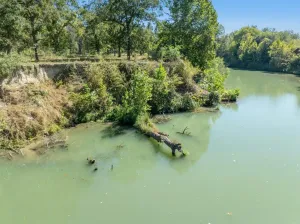 Gonzales, TX 78629