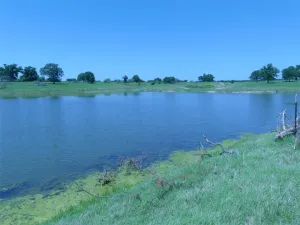 Forestburg, TX 76239