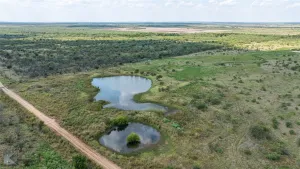 Throckmorton, TX 76843
