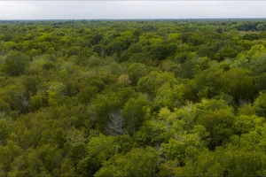Wills Point, TX 75169