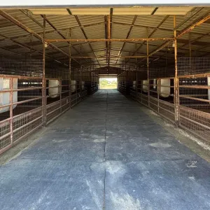 Pilot Point, TX 76258