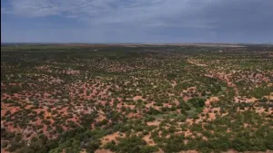 Childress, TX 70201