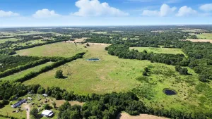 Farmersville, TX 75442
