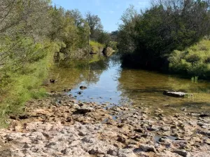Carlton, TX 76436