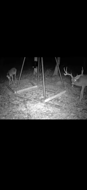 Kerens, TX 75144