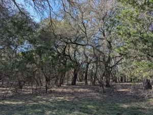 Lampasas, TX 76550