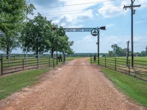 Winnsboro, TX 75494