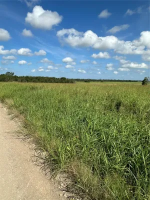 Honey Grove, TX 75446