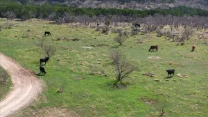 Graford, TX 76449