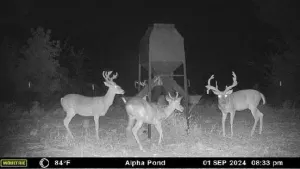 Whitesboro, TX 76273