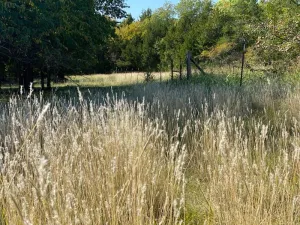 Cedar Hill, TX 75104